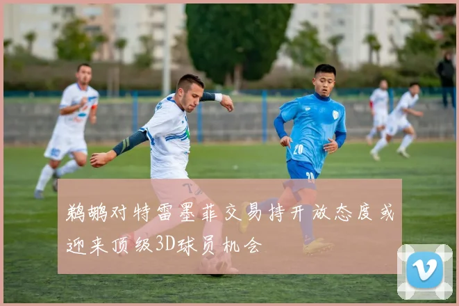 鹈鹕对特雷墨菲交易持开放态度或迎来顶级3D球员机会